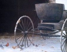 Bateman, Robert - Old Buggy and Winter Birds (end. Bateman, 