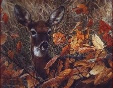 lrsBendersCarl-AutumnLady. , 