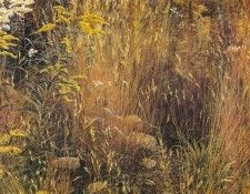 kb Bateman Marginal Meadow. Bateman, 