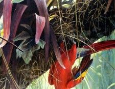 Birds 54B Tropical Canopy--Scarlet Macaws, 2001 Robert Bateman sqs. Bateman, 