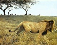 lrsBatemanRobert-StalkingLion. Bateman, 
