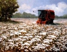 Aaw061 Ron Bausch Cottonfield sqs. , 
