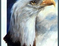 D50-AWE018-RB-Eagle 2. Bansemer, 