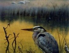 Carl Brenders - Late Snow - Great Blue Heron, De. Brenders, 