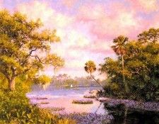 gentle breezes csg019 purple maze. ,  
