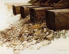 Bateman, Robert - Killdeer by the Tracks (end. Bateman, 