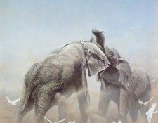 kb Bateman Sparring Elephants. Bateman, 