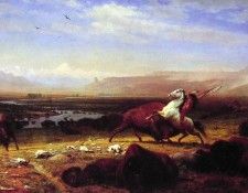 The Last of the Buffalo. , 