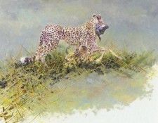 Bamrah Dharbinder S Life In The Serengeti Cheetah. Bamrah, Dharbinder 