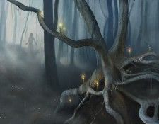 cursed woods. , 