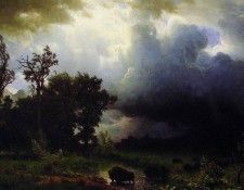 Buffalo Trail. , 
