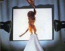 art 292. , 