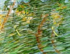 boccioni2. , 