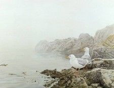 kb Bateman Misty Coast. Bateman, 