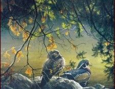 lrsRBB002BatemanRobert-WoodDucks. Bateman, 