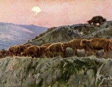 19543. Barbasan, 