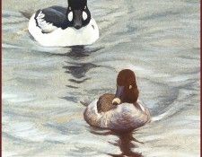 lrsRBB012BatemanRobert-Goldeneye. Bateman, 
