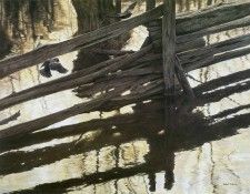 kb Bateman Red winged Blackbirds and Rail Fence. Bateman, 