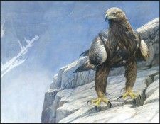 lrsRBB026BatemanRobert-GoldenEagle. Bateman, 