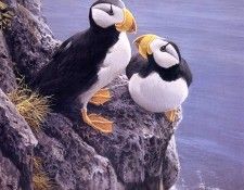 Bateman, Robert - Horned Puffins (end. Bateman, 