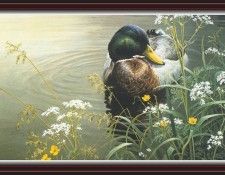 We SnF 012 BatemanR MeadowsEdge  Mallard. Bateman, 
