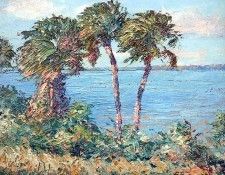 gentle breezes csg005 wind swept palms. ,  
