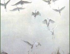 lrsRBB003BatemanRobert-EgretsoftheSacredGrove. Bateman, 