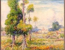 Beal Mango-Trees-Rio-Piedras-sj. , 