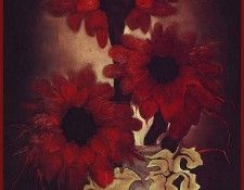 lrs Barnum Brenda Daisy Red. , 