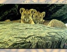 ZaneScans RB Safari SWD 003. Bateman, 