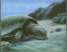 BerenzyAlix-IntoTheSea19-sj. Berenzy, 