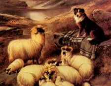Barker John Guarding His Flock. , 