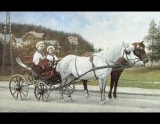 Young Boys In A Horsedrawn Carriage. , 