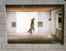 art 294. , 
