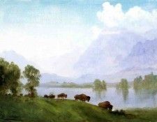 Bierstadt Albert Buffalo Country. , 