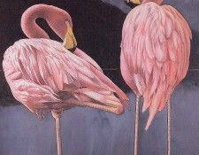 bs-na- Allen Blagden- Flamingoes- I I. , 