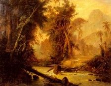Bellerman Ferdinand A Tropical Forest In Venezuela. Bellerman, 