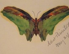 Butterfly. , 