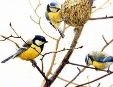 Birds 58 Blue Tits and Great Tit, 2001 Robert Bateman sqs. Bateman, 