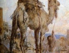 Bauer Marius The camel Sun . , 