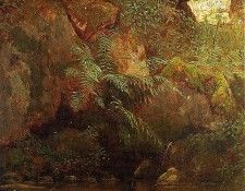 Bierstadt Albert Ferns and Rocks on an Embankment. , 
