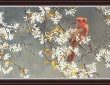 We SnF 011 BatemanR SpringCardinal. Bateman, 