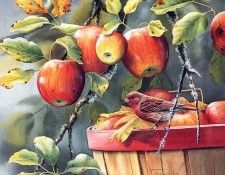 Bourdet, Susan - Fall Apple Harvest - Purple Finch (end. Bourdet, 