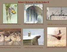 lrsrBatemanBirdsIdx08. Bateman, 