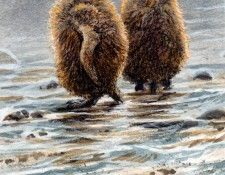 Birds 72 King Penguin Chicks, 1998 Robert Bateman sqs. Bateman, 
