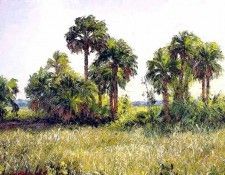 gentle breezes csg002 palmetto hammock. ,  