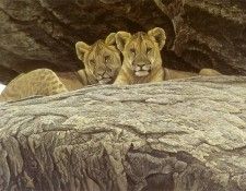 kb Bateman Lion Cubs. Bateman, 