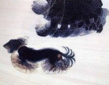 art 809. , 