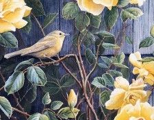 Susan Bourdet - Yellow Roses - Yellow Warbler. Bourdet, 