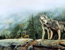 Jules Bouchard - Canadian Timber Wolf, De. , 